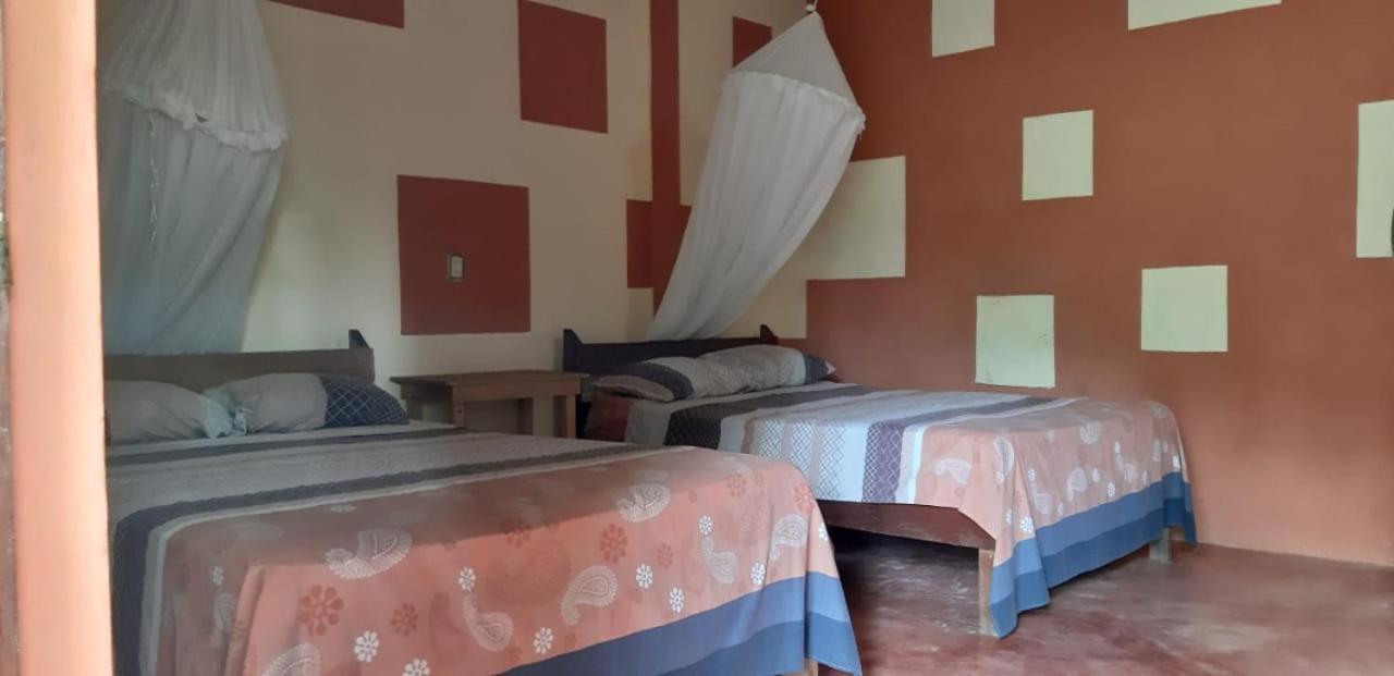 Centro Ecoturistico Ya'Ajche Hotel Lacanjá Екстериор снимка