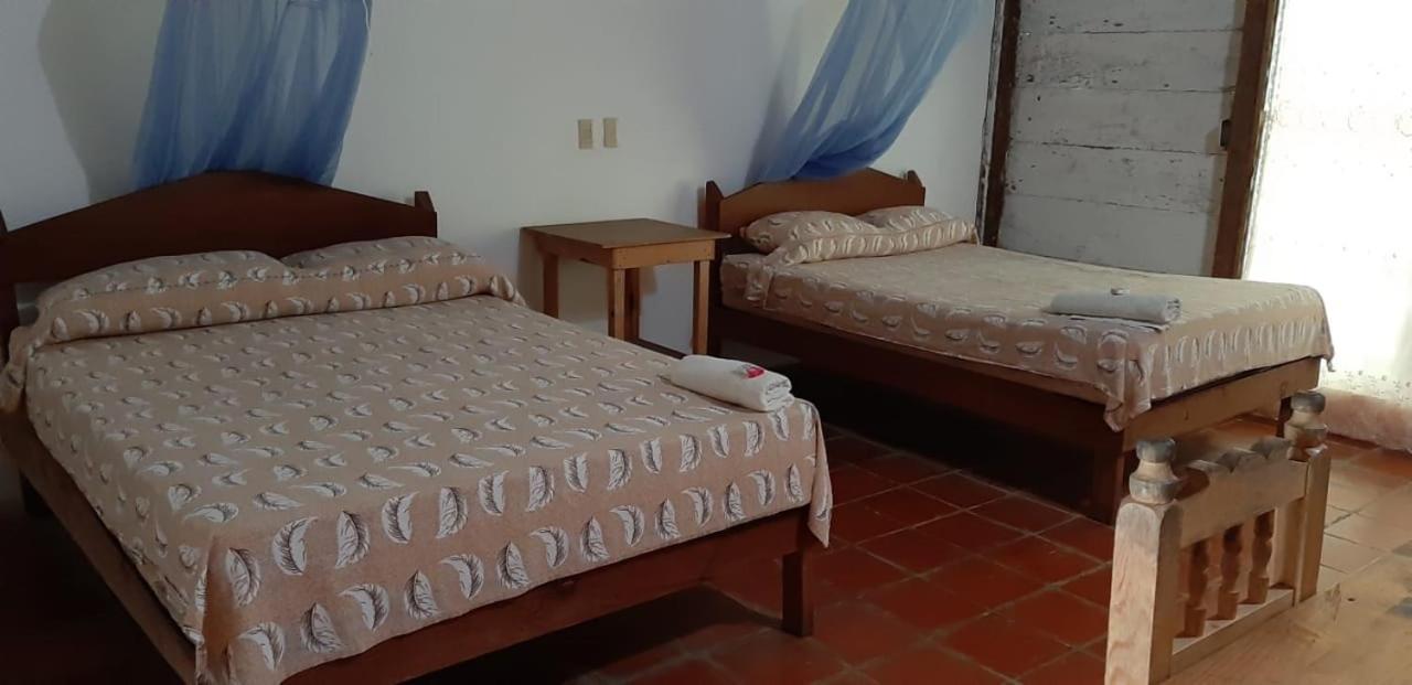 Centro Ecoturistico Ya'Ajche Hotel Lacanjá Екстериор снимка